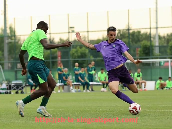 杏彩体育-1995年NBA火箭队总冠军阵容全名单