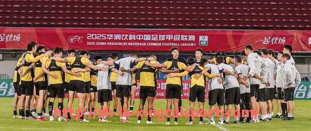 杏彩体育-2018年火箭队对阵灰熊队的比赛回放